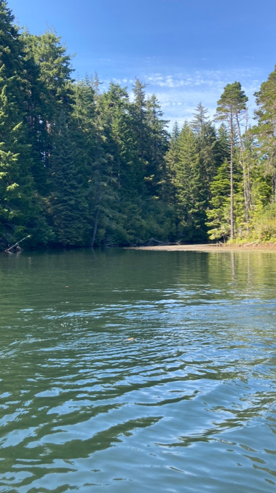 Cleawox kayak launch