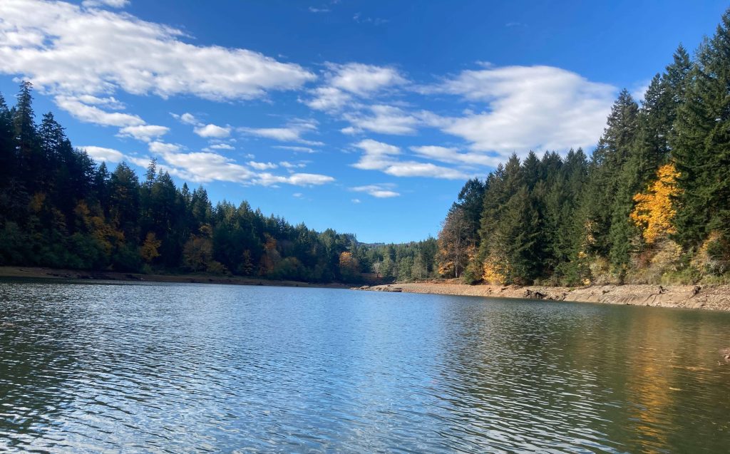 Foster Lake Sunnyside