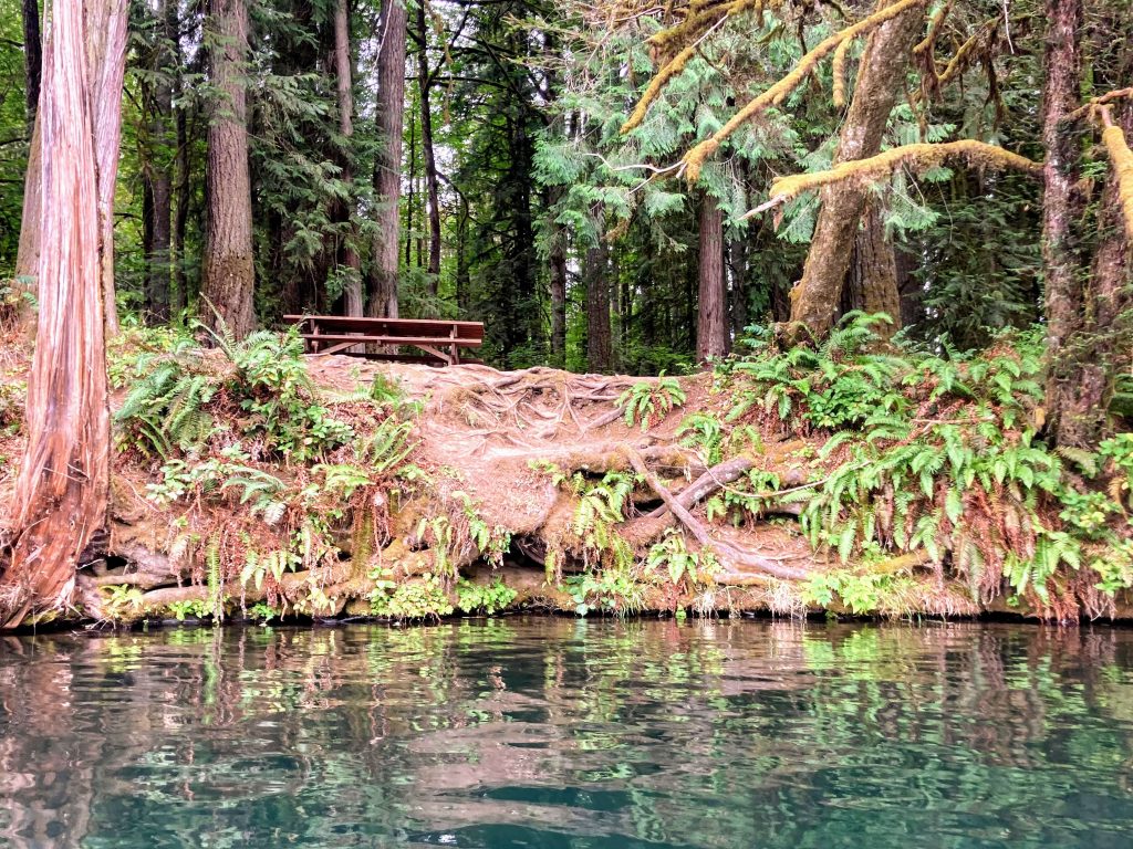 Leaburg Dam Lloyd Knox Park