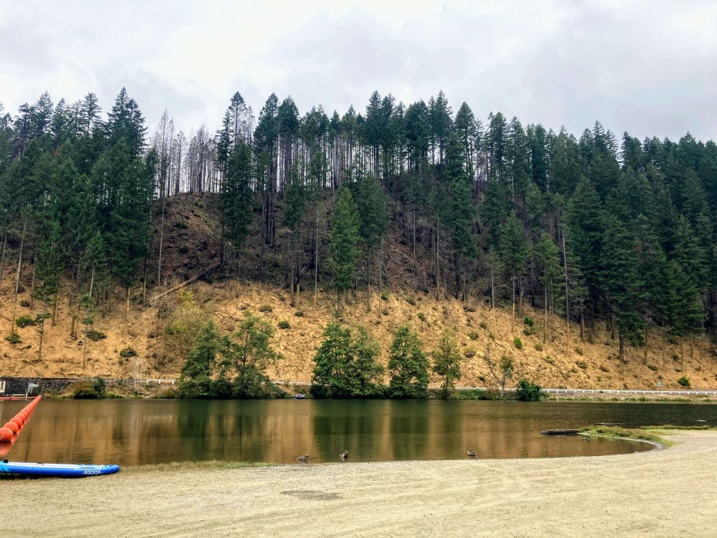 Leaburg Dam launch site McKenzie River