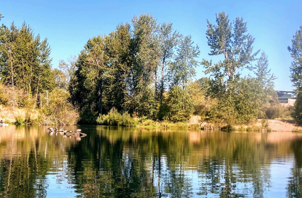 Alton Baker canoe canal