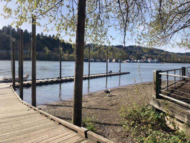 boat dock at Sellwood Park