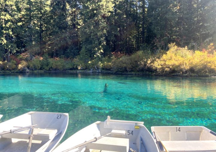 Clear Lake (Linn&nbsp;County)