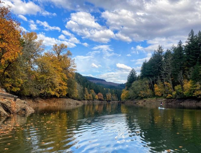 Foster Lake Sunnyside