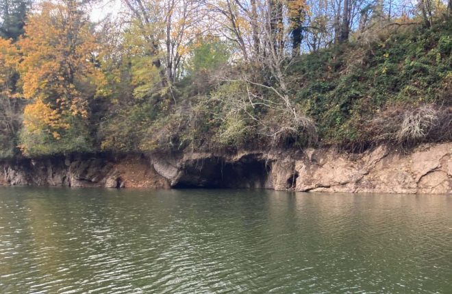 Foster Lake Sunnyside