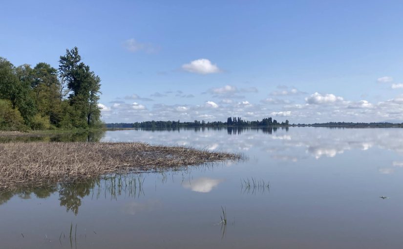 Fern Ridge Reservoir