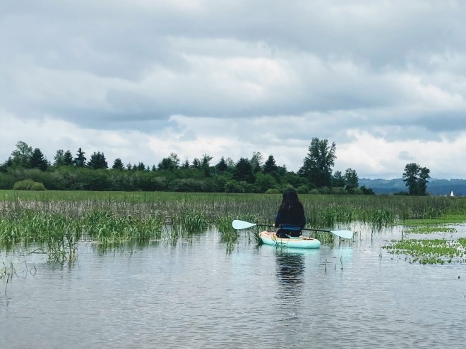 fern ridge lake marsh