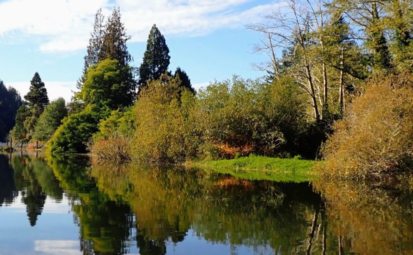 Siuslaw River Water&nbsp;Trail