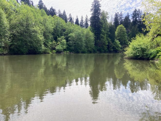 Tualatin River looking upstream