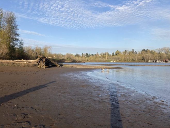 Southern tip of Ross Island